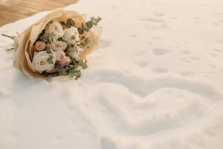 matrimonio invernale