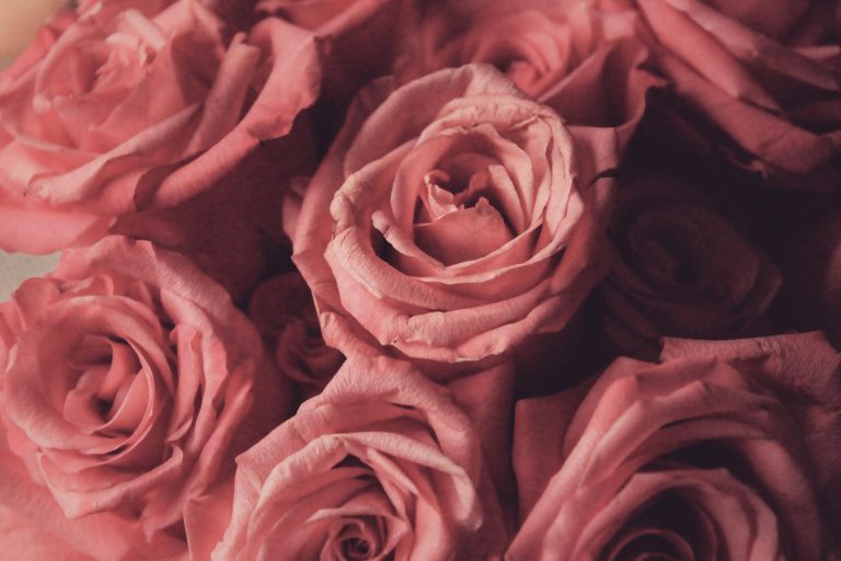 come scegliere i fiori per il matrimonio